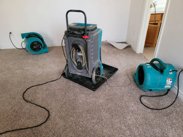 Best Water damage cleanup near me  in Deville, AL