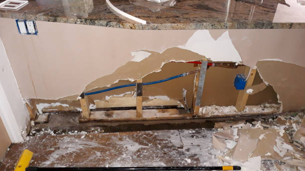 Best Ceiling water damage repair  in Deville, AL