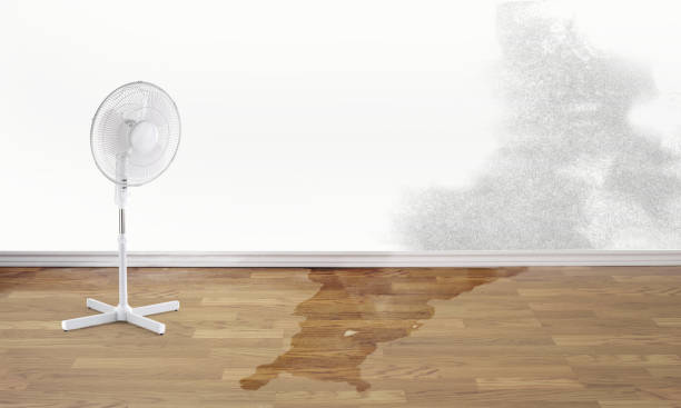 Best Local water damage restoration  in Deville, AL