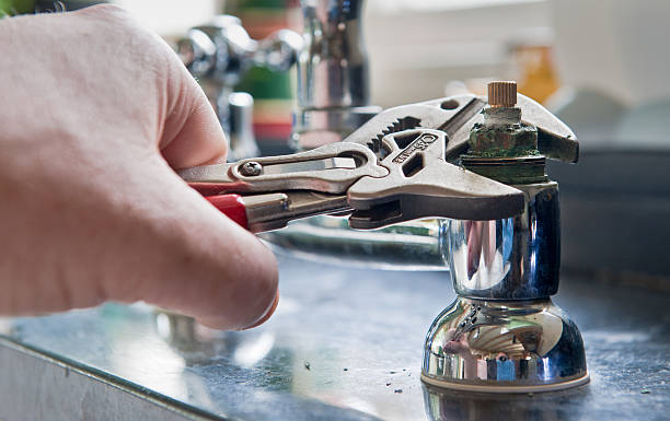 Best Flood restoration services  in Deville, AL