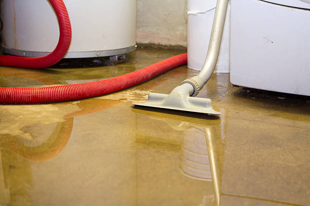 Best Basement water damage restoration  in Deville, AL