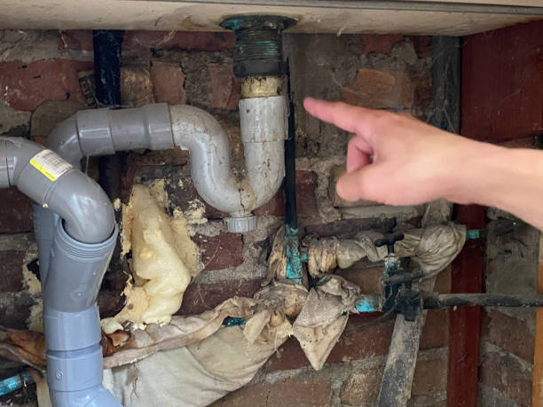 Best 24/7 water damage repair  in Deville, AL