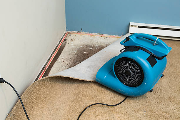 Best 24-hour water damage restoration  in Deville, AL